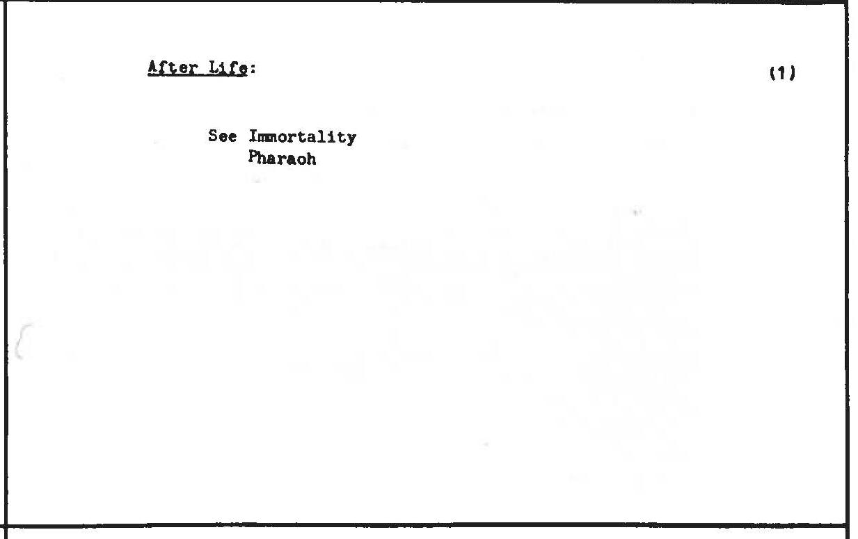 C00231