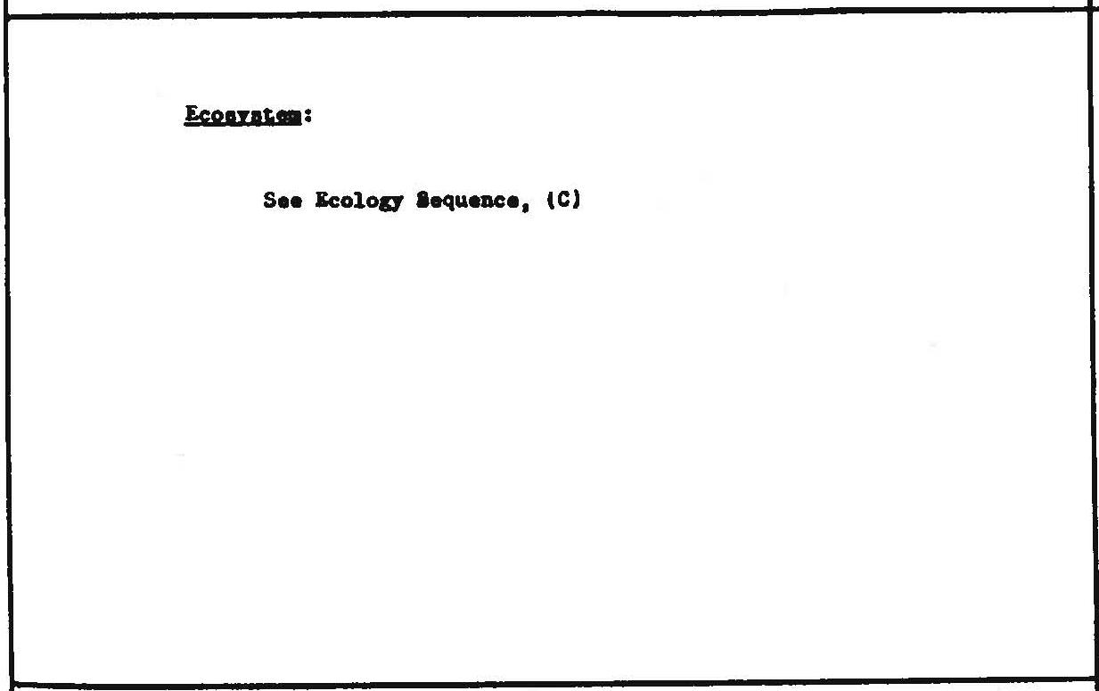 C04517