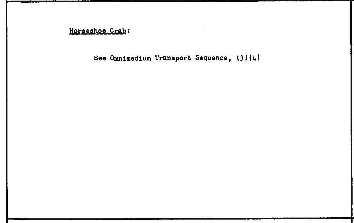 C07441