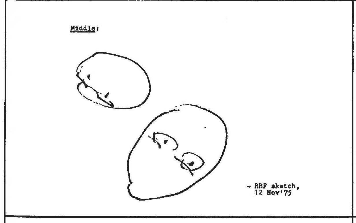 C10548